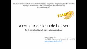 06_La couleur de la boisson. De la construction de sens à la perception - Manuel Valentin