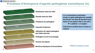 Sciences de la vie-Zoonoses-2.Histoire (S2)