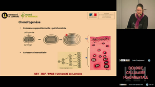 UE1 Velot émilie 13/11/2025