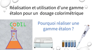 2_3_3objectif_ST