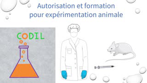 0_3_1_1BBoite_a_outil1