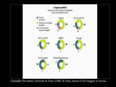 Bilinguisme et pathologie du langage - Christophe DOS SANTOS