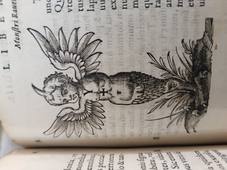 Le monstre de Ravenne - Monstres ! Une histoire de la tératologie