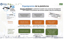 Présentations CPER plateformes A2F 08 PEA Mme Marielle Thomas 2.mp4