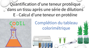 3_3_1ETableau1