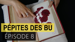 Pépites des BU - épisode 8