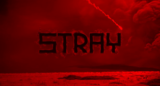 Stray