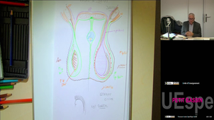 P-Bassin Braun Marc 8/01/2026 (Pt2)