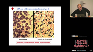 UE1 Christov Christo (Pt1)  21/11/2025