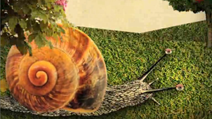 Les escargots font-ils des maths ?