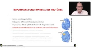 02_2.1-S1 Les protéines, des molécules fonctionnelles importantes