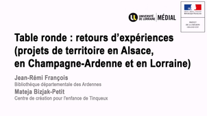 Retours d'expériences (projets de territoire en Alsace, en Champagne-Ardenne et en Lorraine) : Jean-Rémi François et Mateja Bizjak-Petit