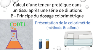 3_3_1Bobjectif_ST