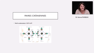 Examen des paires crâniennes.mp4