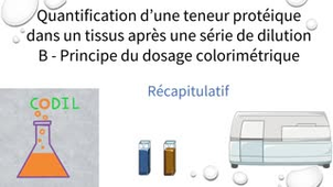 3_3_1Brecapitulatif