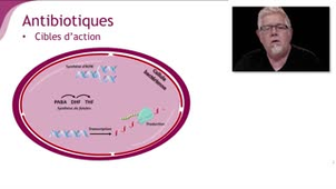 Les antibiotiques - Chapitre 3 - partie 6