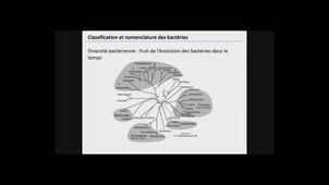 Replay DUPIAS 21-22 Bactéries d'intérêt médical
