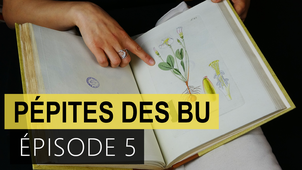 Pépites des BU - épisode 5