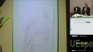 Spé Tête et cou Pr Braun Marc 27/03/2026 (Pt3) LAS 2 et 3