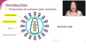 Les différents types cellulaires - Chapitre 1 - partie 1