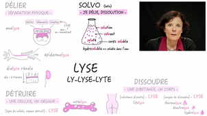 JOUR_4_Semaine_1_LY