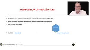 05_2.1-S1 Les nucléotides, unités fondamentales des acides nucléiques