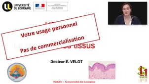 01 - PACES UE2 - CM1 - La cellule et les tissus - Emilie Velot