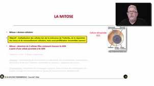 La division mitotique